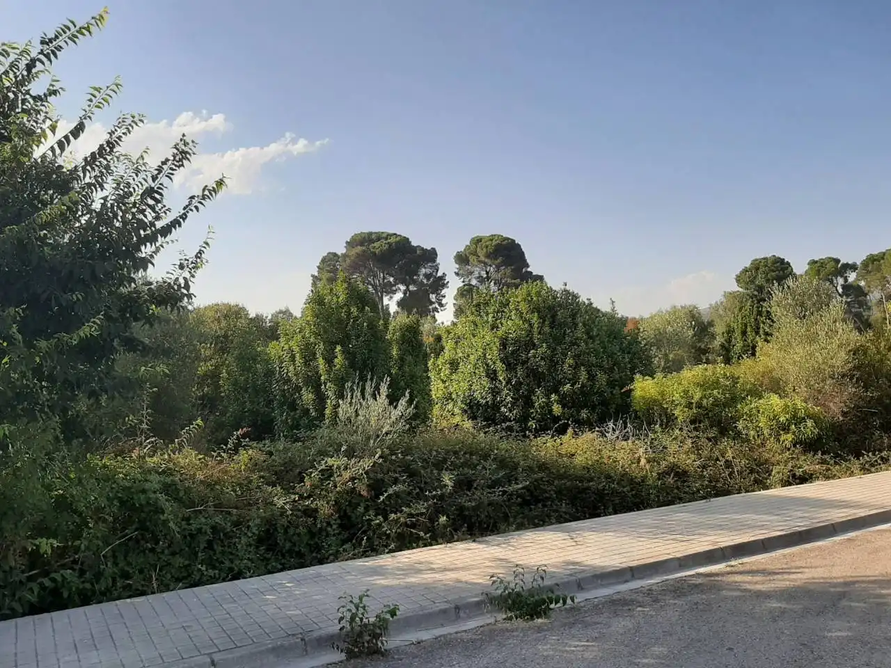 Jardín de Terreno en venta en Navajas