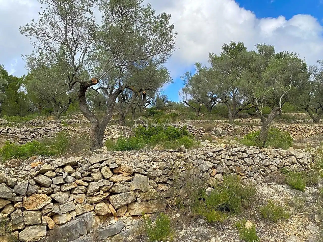 Terreno rustico in vendita a Malladetes, imagen 12