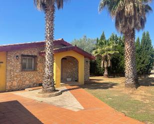 Vista exterior de Casa o xalet en venda en Vilafamés amb Calefacció, Terrassa i Traster