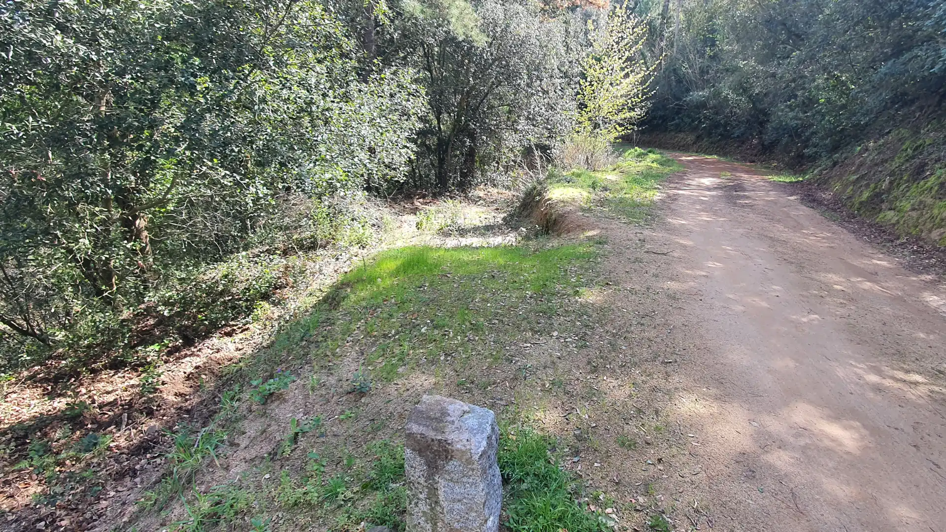 Terreno rústico en venta en Carrer Montvall 1, imagen 13