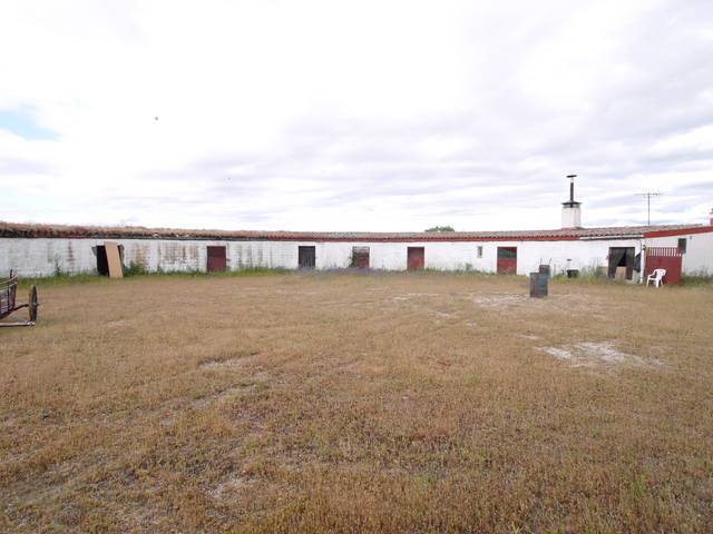 Terreno en Venta en Vial Camino en El Olivar - La Magdalena