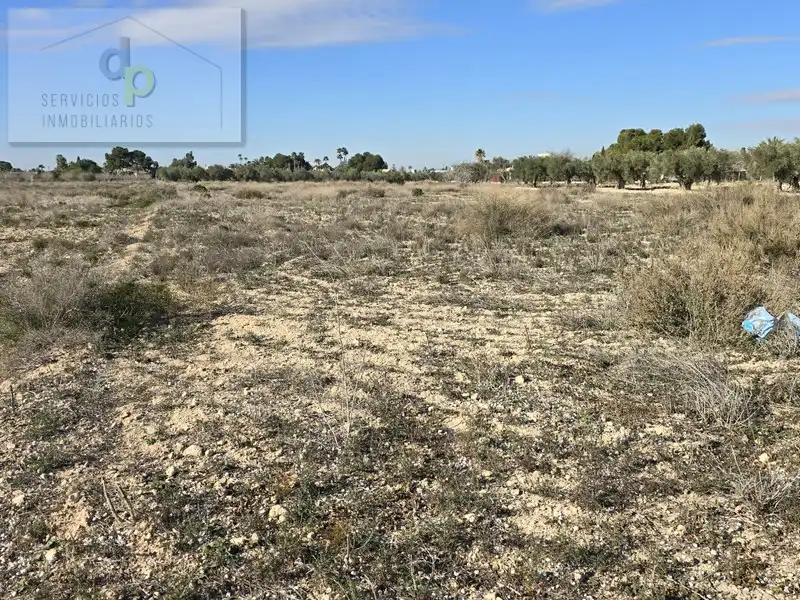 Terreno rustico in affitto a Camino de los Quiles 160, imagen 6