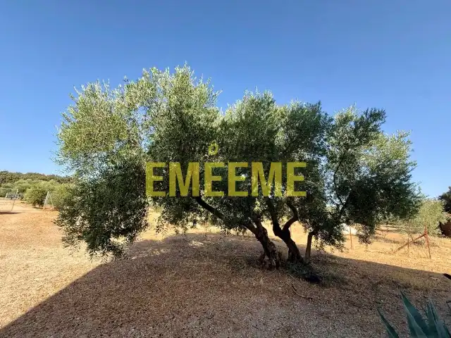 Houses for sale in Ronda  with Private garden, Terrace and Furnished