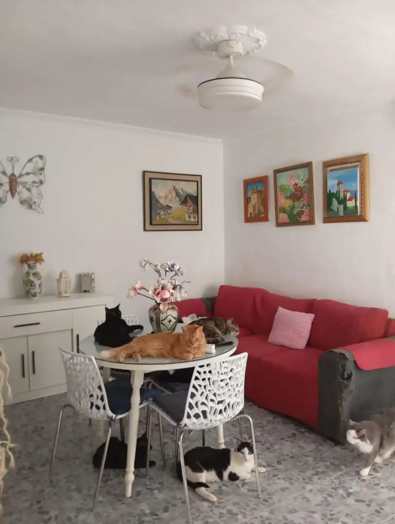 Sala de estar de Casa o chalet en venta en Alcalá de Guadaira con Terraza, Trastero y Balcón