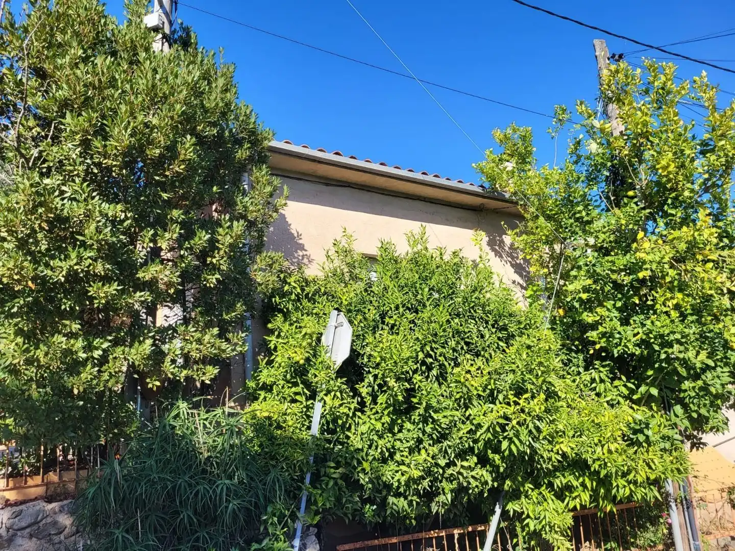 Detached house with garden for sale in Avenida de la Selva, imagen 4