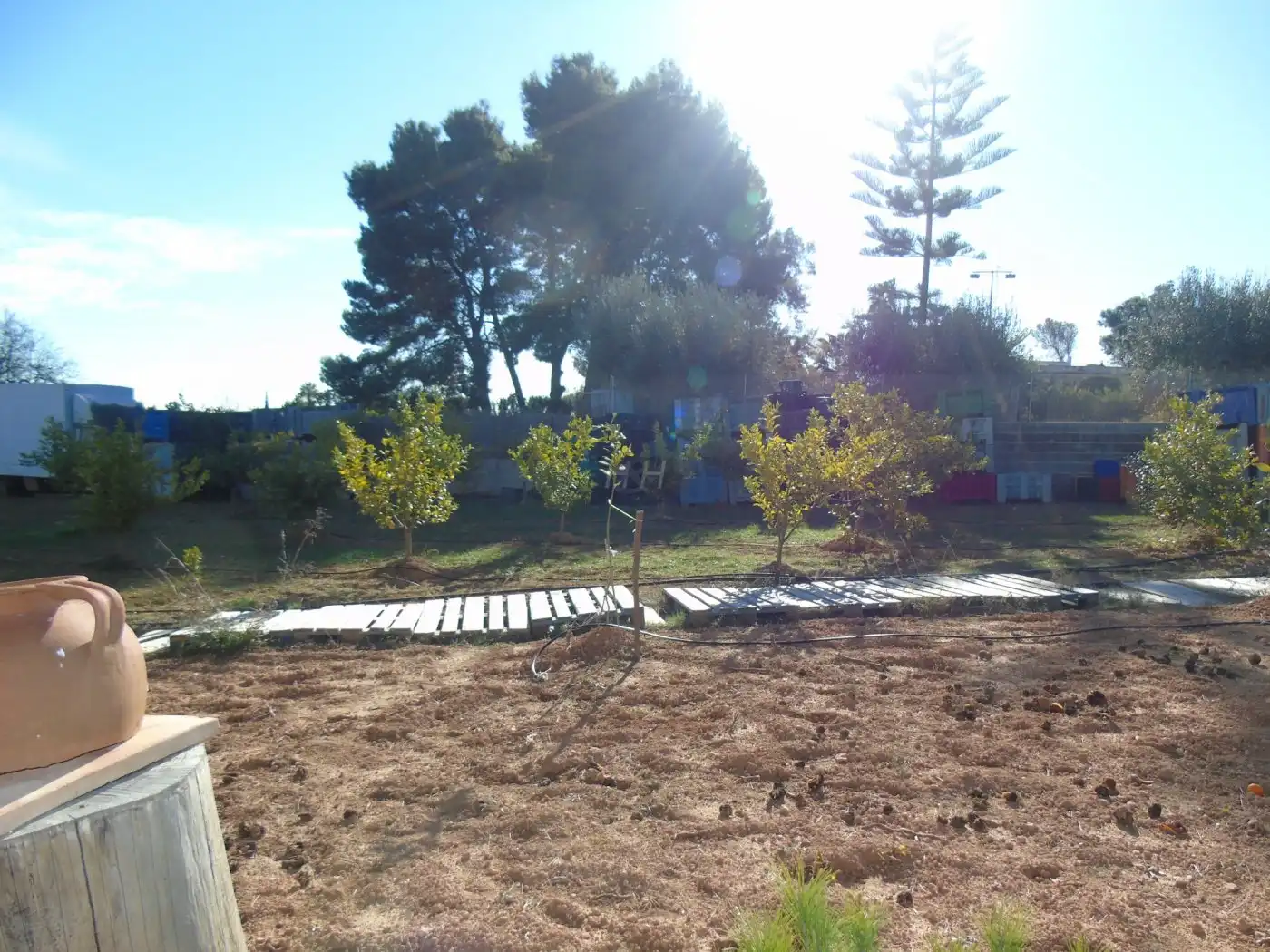 Terreno rustico in vendita a Nueva Santa Barbara - Cruz de Gracia, imagen 14
