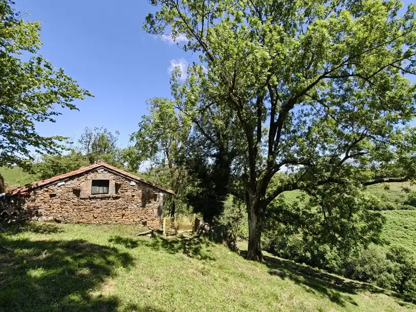 Terreno rustico in vendita a Proaza, imagen 20