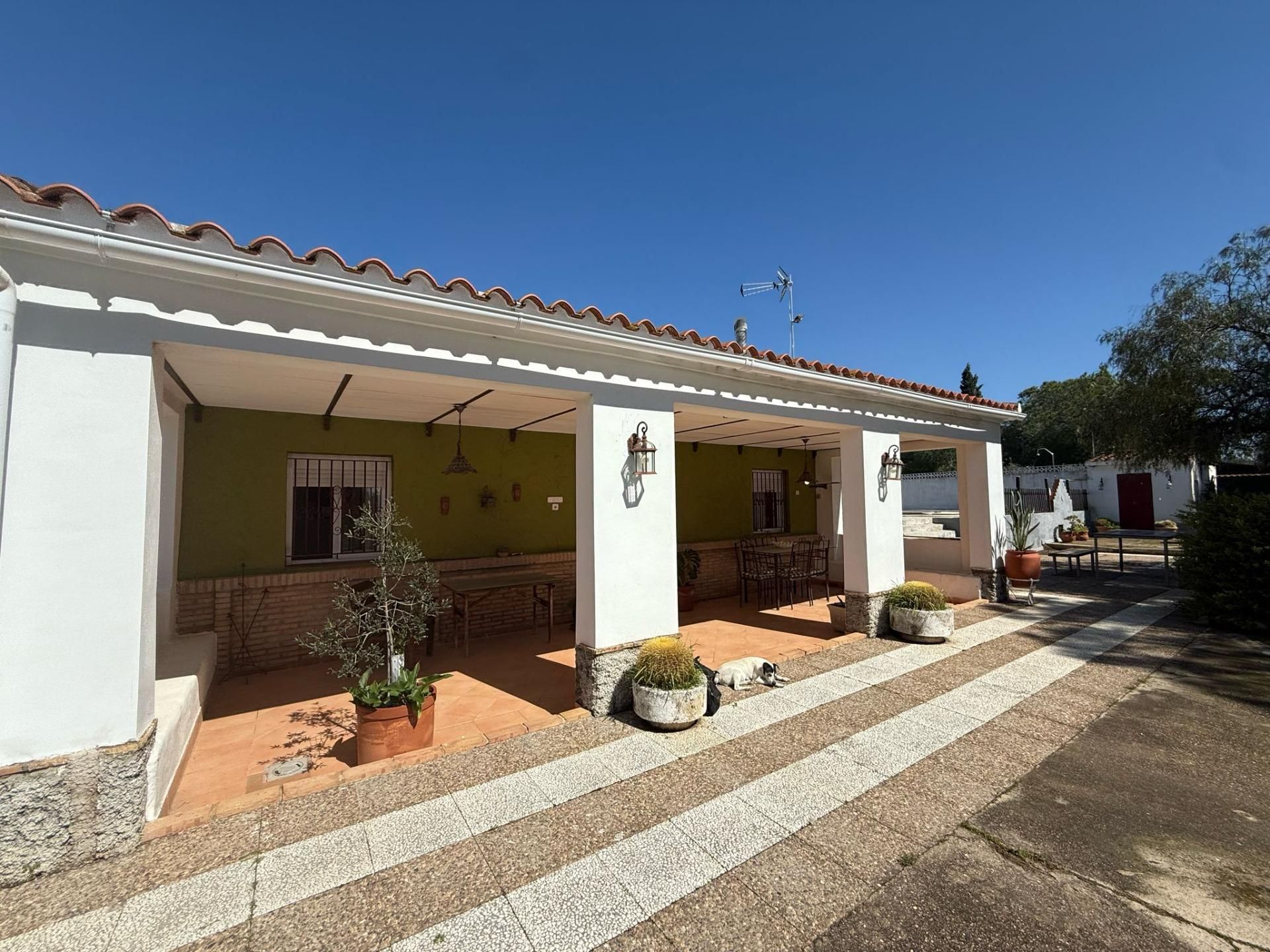 Garden of Country house for sale in Utrera  with Air Conditioner, Private garden and Swimming Pool