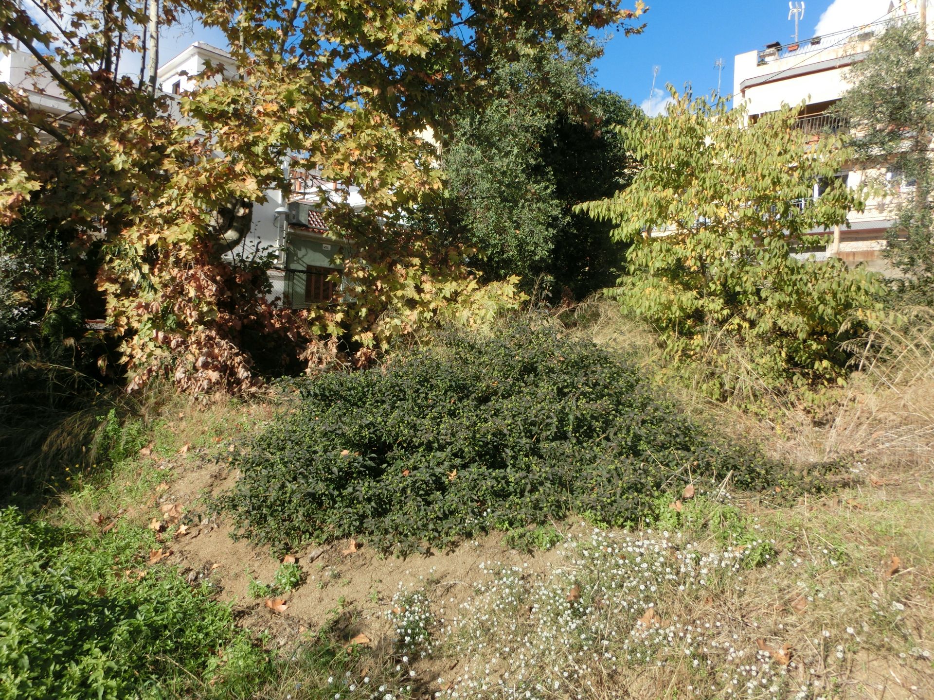 Residential for sale in Canet de Mar