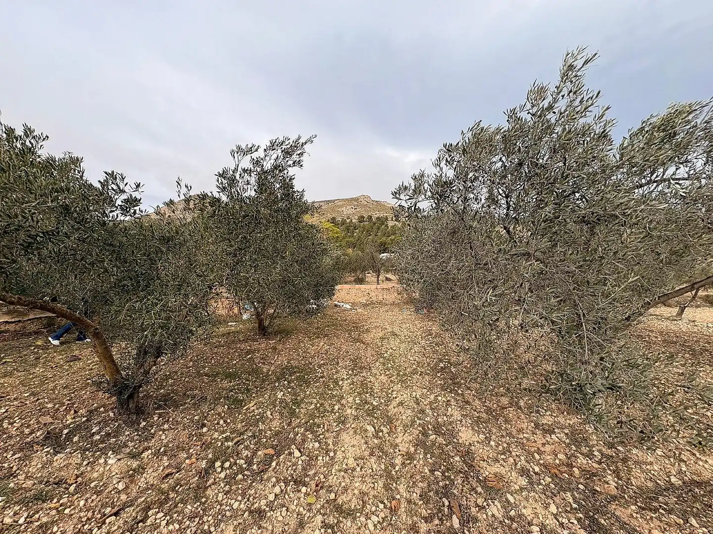 Terrain résidentiel à vendre à Onil