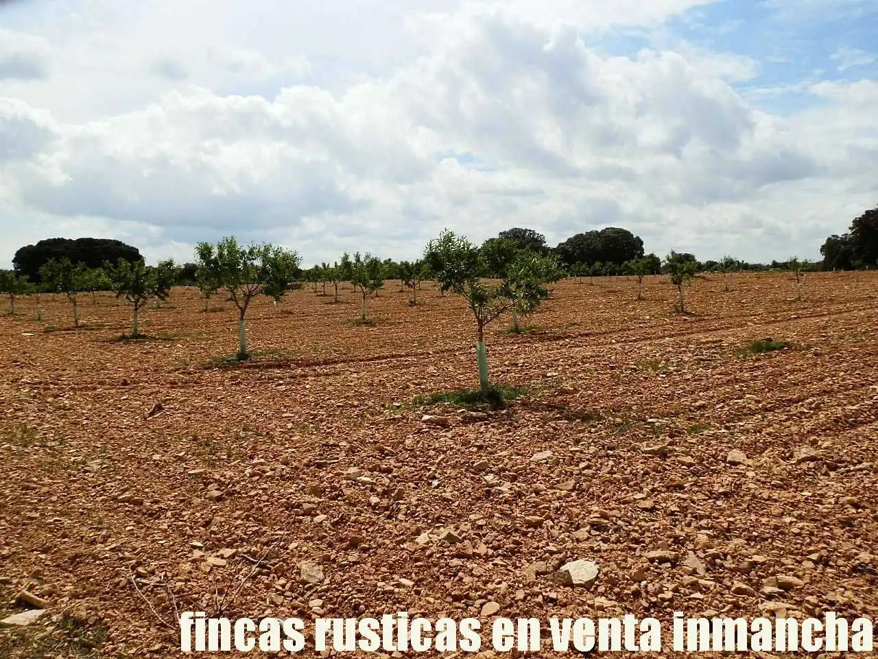 Terreni e lotti in vendita a Villarrobledo, imagen 18