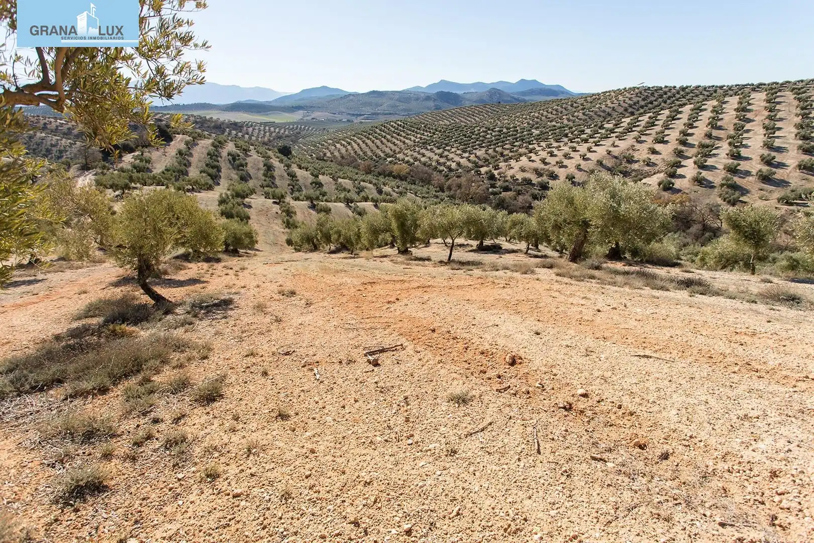 Land for sale in Campotéjar