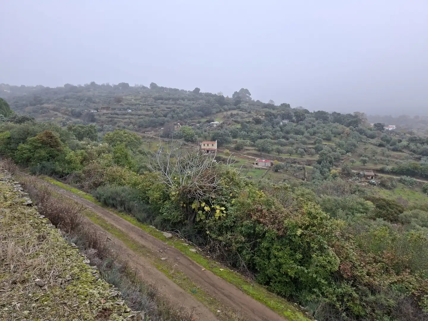 Terreni e lotti in vendita a Malpartida de Plasencia, imagen 7