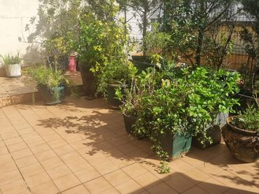 Adossat en venda a Lapice - Larreaundi - Olaberria - Meaka