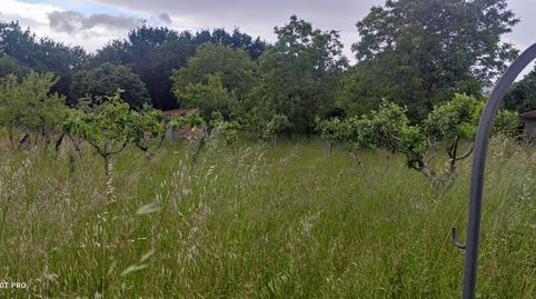 42.900  1.640m2 terreno edificable amoeiro, immagine 4