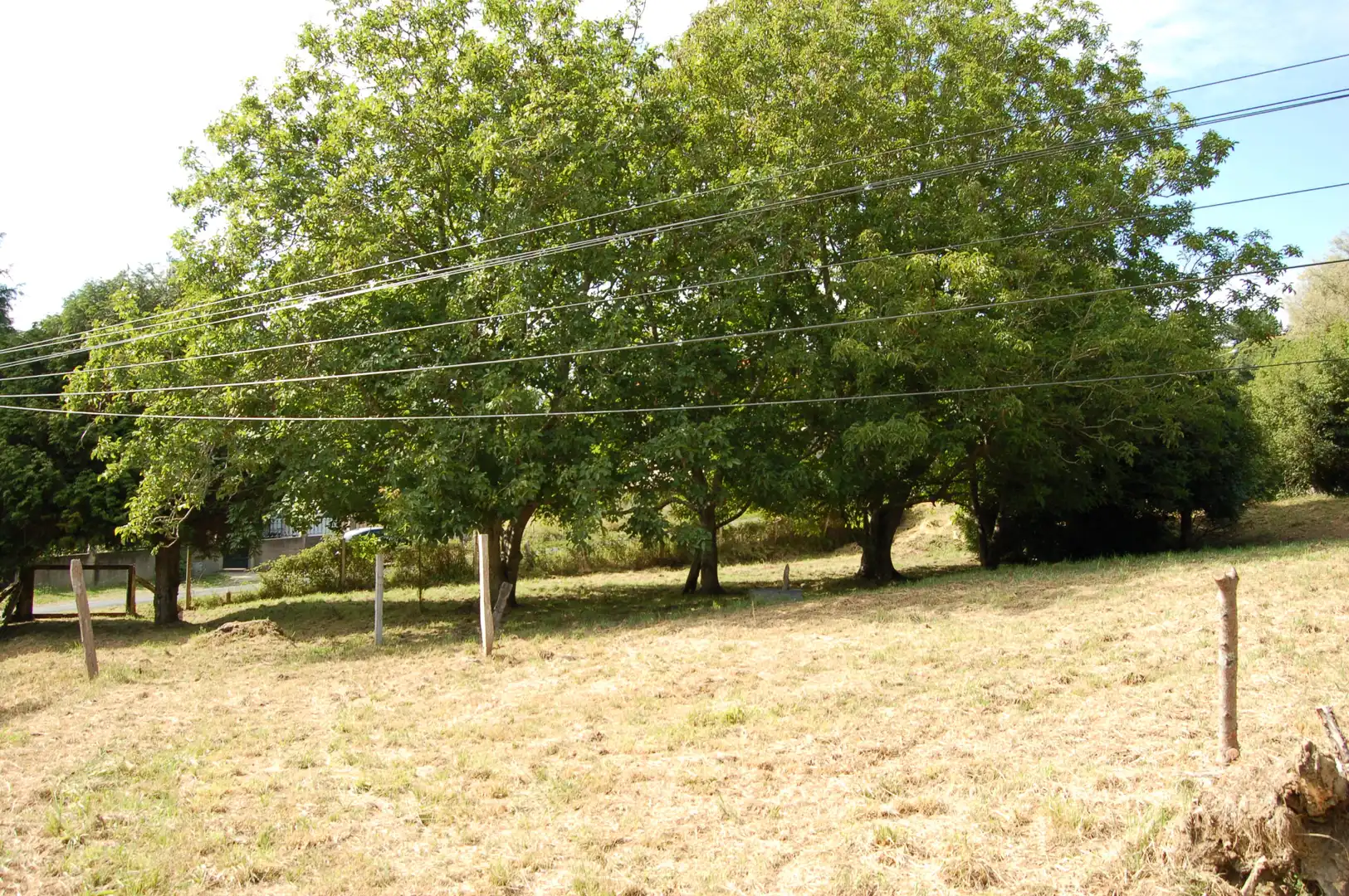 Grundstücke und Bauplätze zum Verkauf in Cedeira, imagen 6