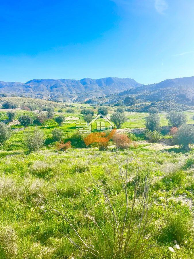 Residencial en venda en Lorca
