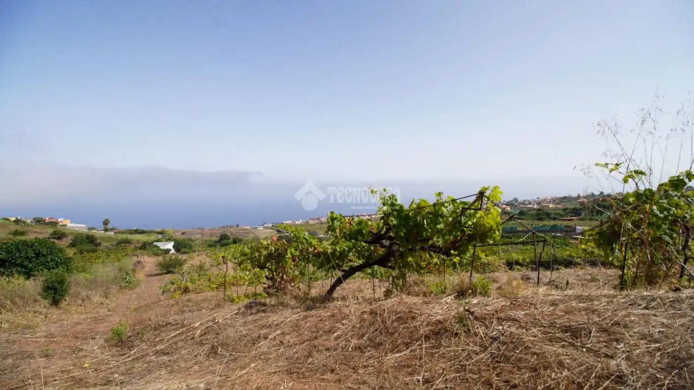 Finca rústica en venta en El Sauzal