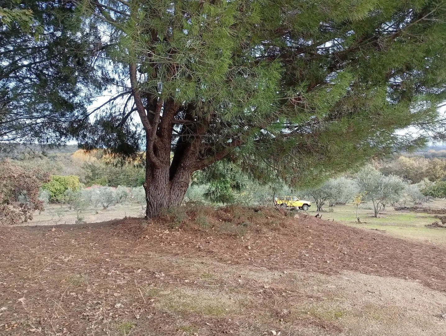 Terreni e lotti in vendita a Villanueva de la Vera, imagen 47