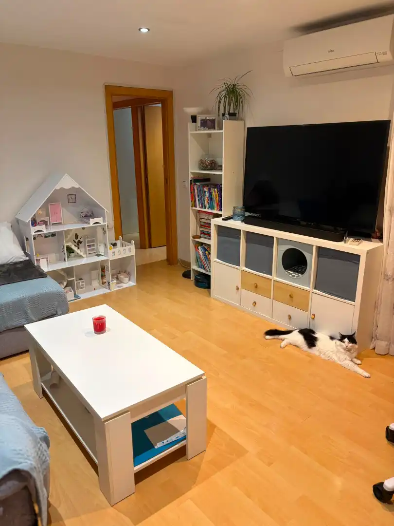 Sala d'estar de Pis en venda en Olesa de Montserrat amb Aire condicionat, Calefacció i Parquet