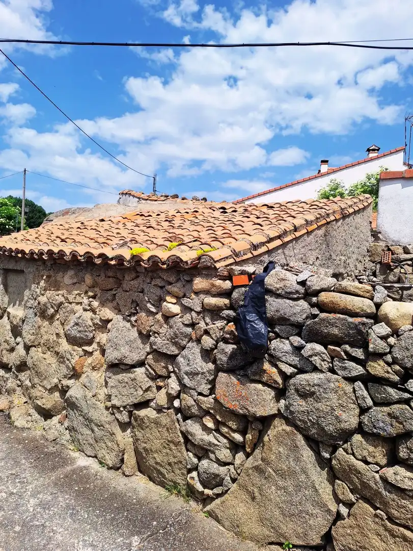 Vista exterior de Casa o chalet en venta en San Martín del Pimpollar