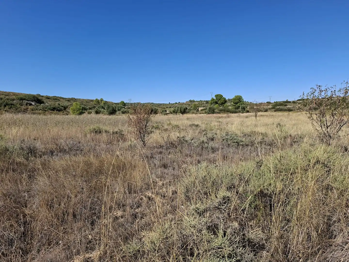 Terreno rustico in vendita a N/A, imagen 15