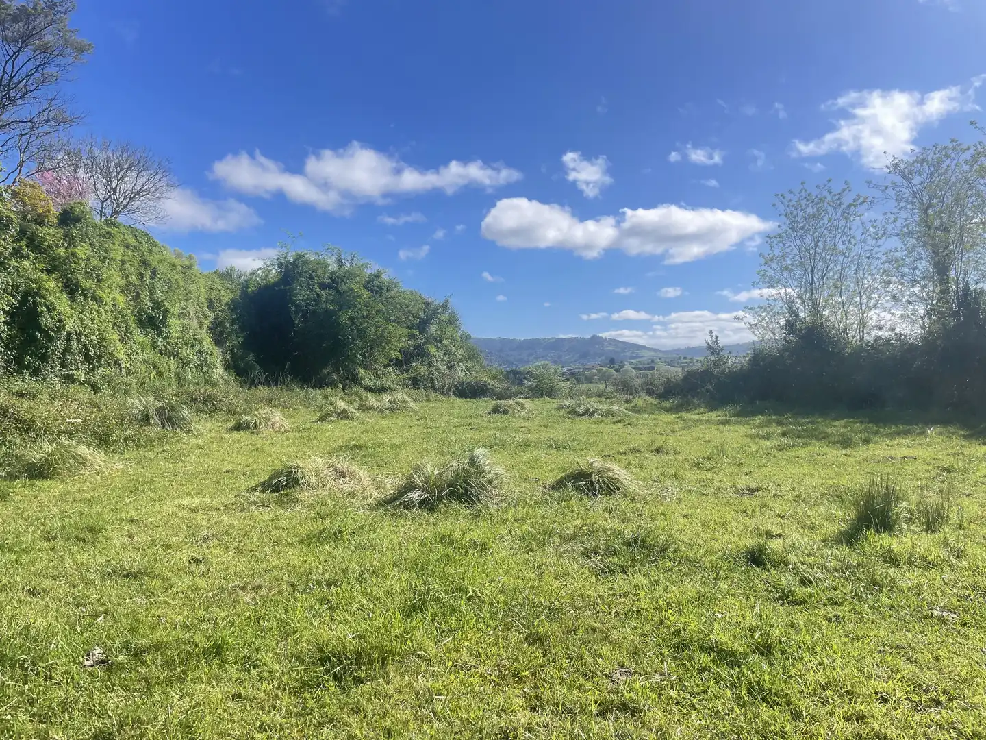 Terreno residenziale in vendita a Rural, imagen 14