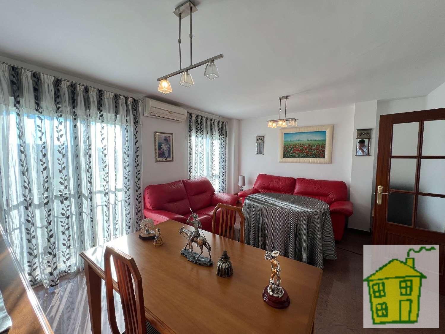 Living room of Flat for sale in Andújar  with Furnished and Balcony