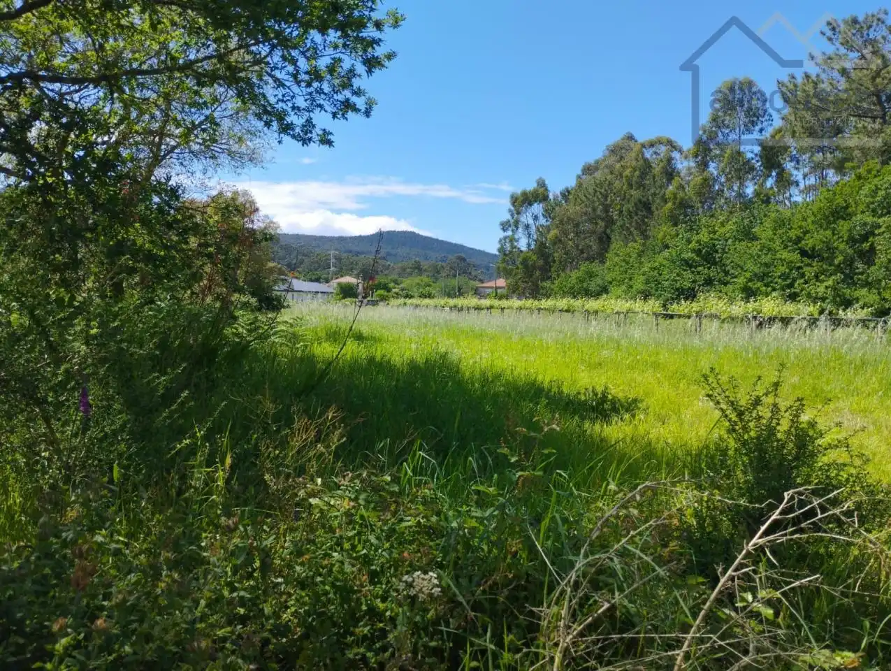 Terreno residenziale in vendita a O Rosal, imagen 8