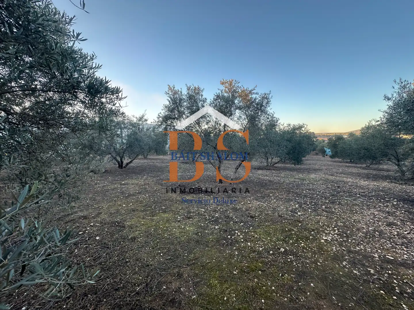 Rural land for sale in Mollina, imagen 2
