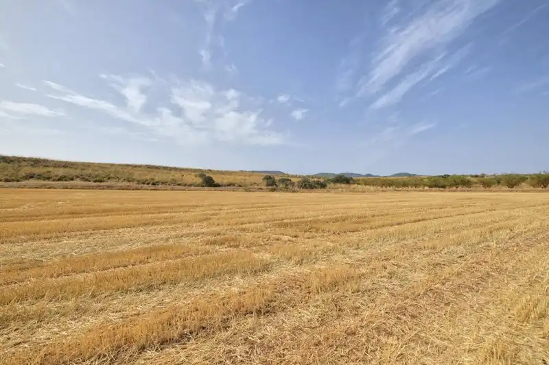 Terreni e lotti in vendita a Padul, imagen 18