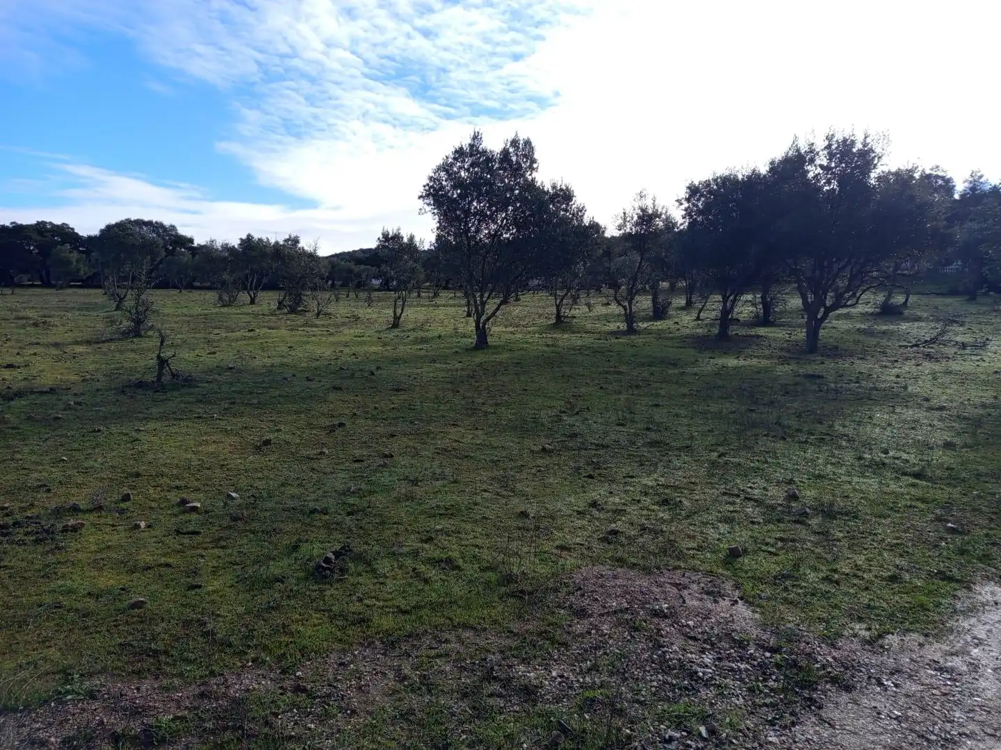 Finca rústica en venda en Almadén de la Plata amb Jardí privat