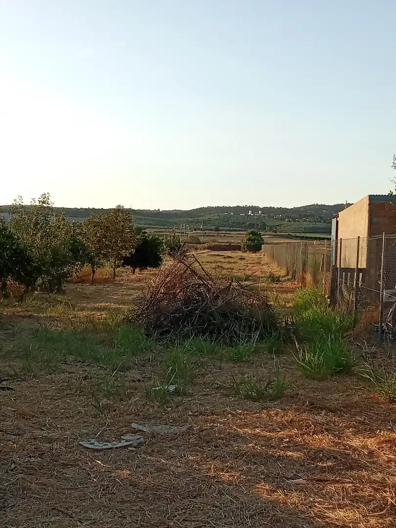 Land for sale in Almodóvar del Río