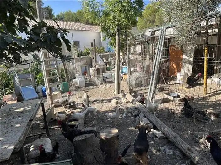 Adossat en venda a Luque, imagen 14