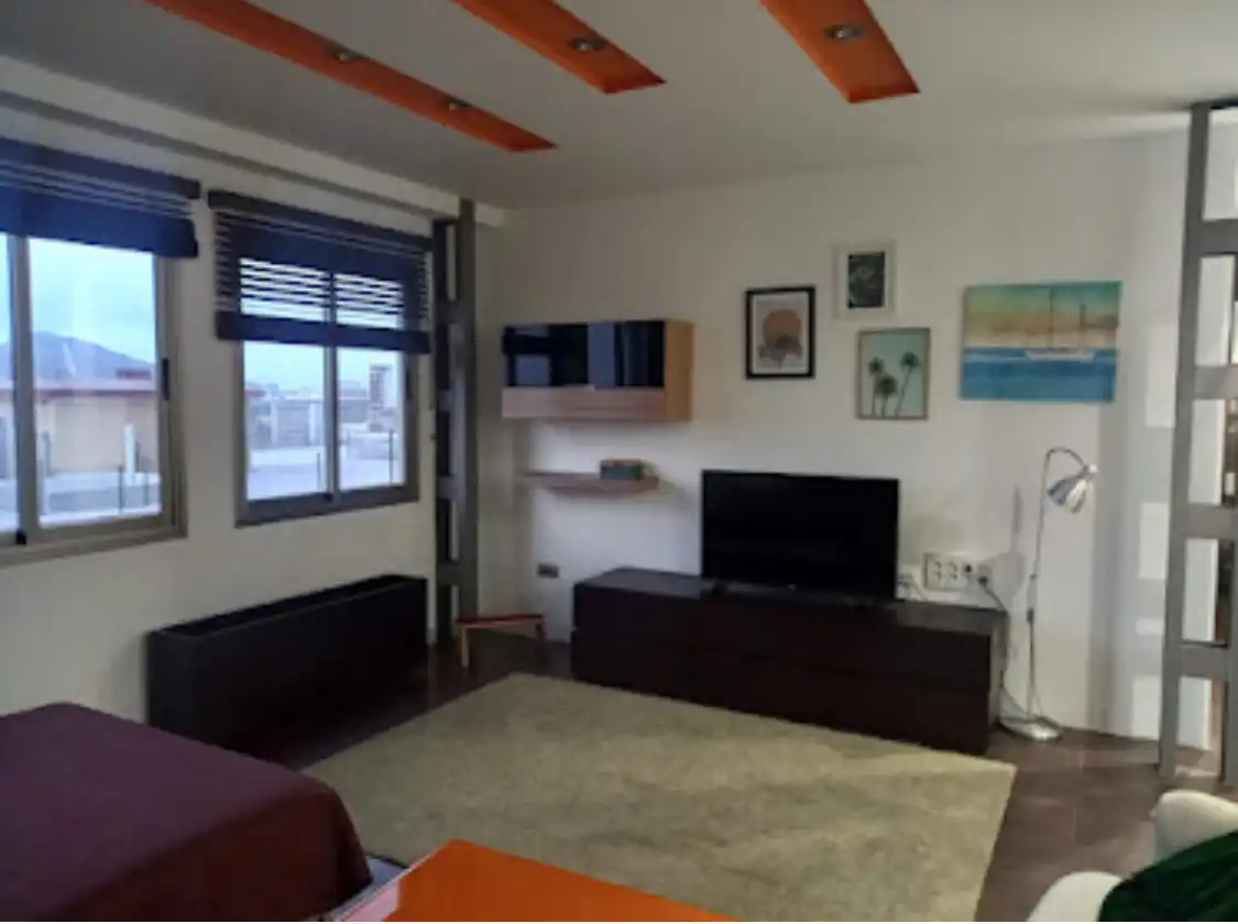 Sala de estar de Piso de alquiler en Las Palmas de Gran Canaria con Amueblado, Horno y Lavadora