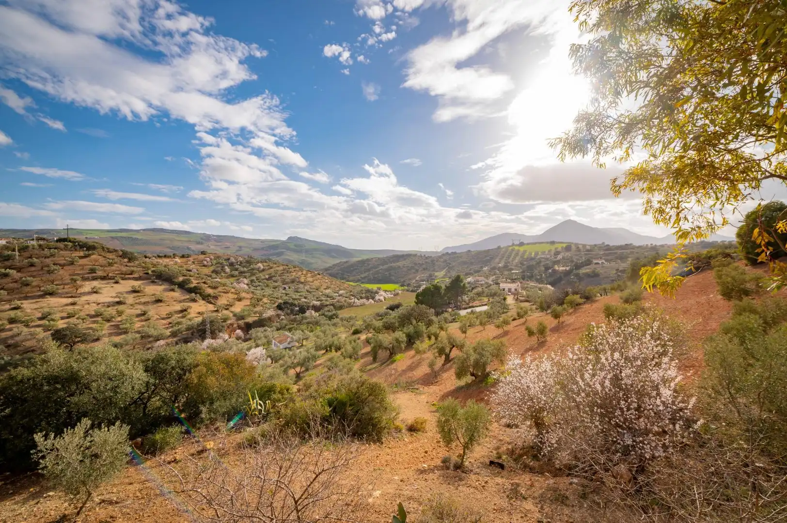 Vista exterior de Finca rústica en venta en Antequera