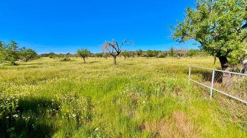 Foto 4 de Residencial en venta en Es Llombards, Santanyí
