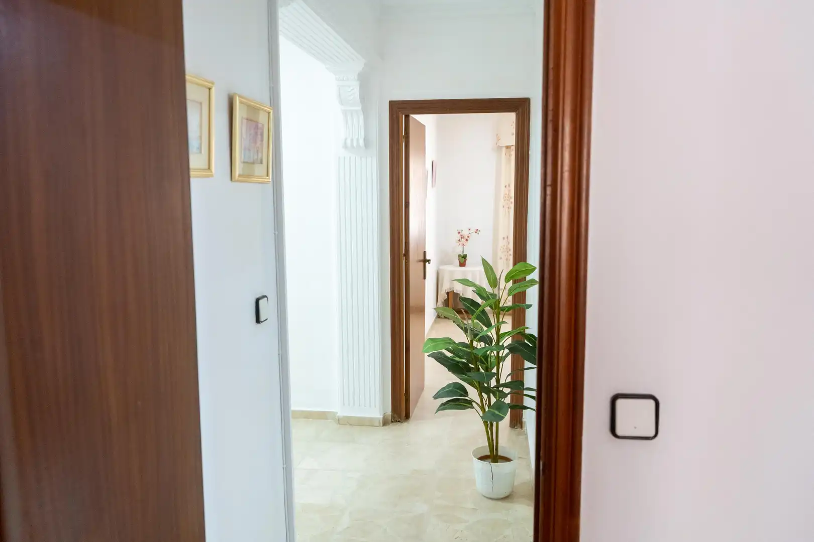 Casa o xalet en venda en Sanlúcar de Barrameda amb Jardí privat