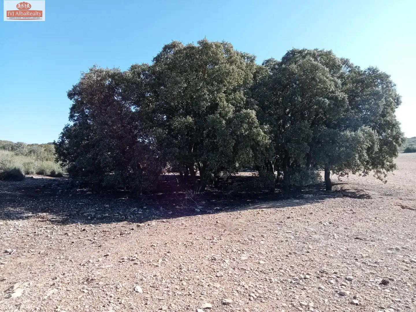 Terreni e lotti in vendita a Chinchilla de Monte-Aragón, imagen 23