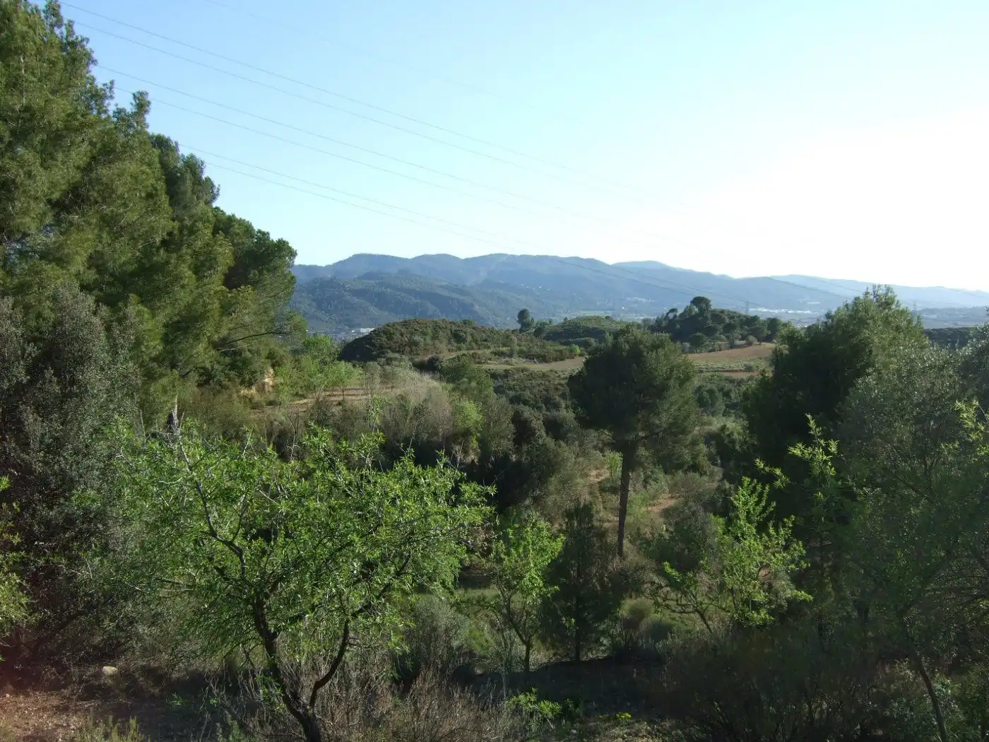 Residential land for sale in Castellbisbal, imagen 8