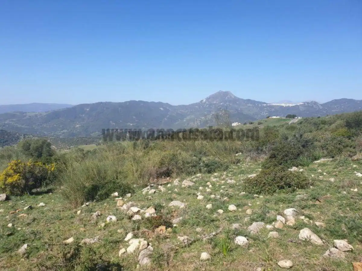 Residencial en venda a Casares, Málaga
