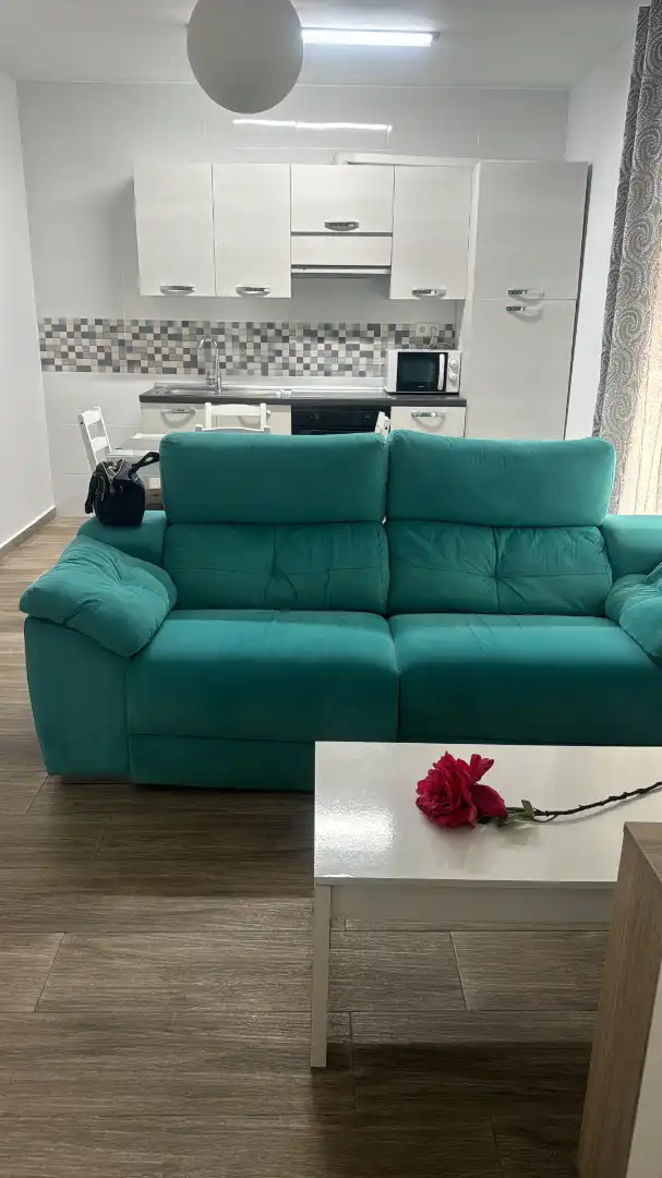 Living room of Apartments for rent in Málaga  with Air Conditioner, Terrace and Furnished