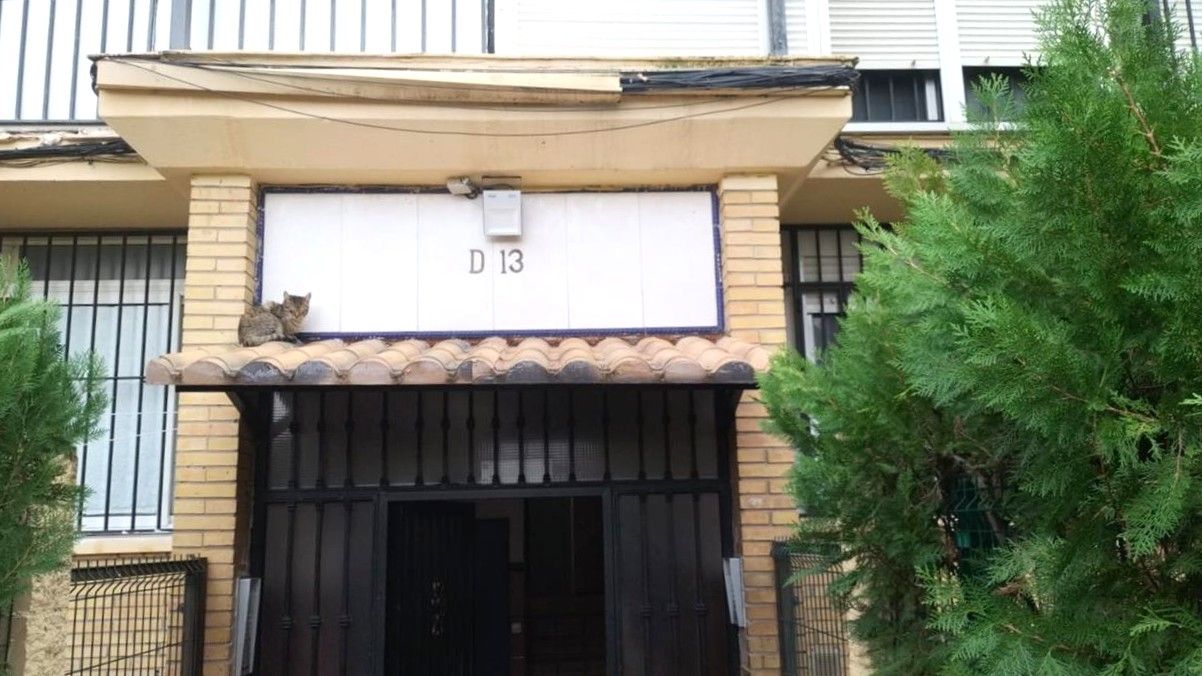 Exterior view of Flat for sale in Castilleja de la Cuesta