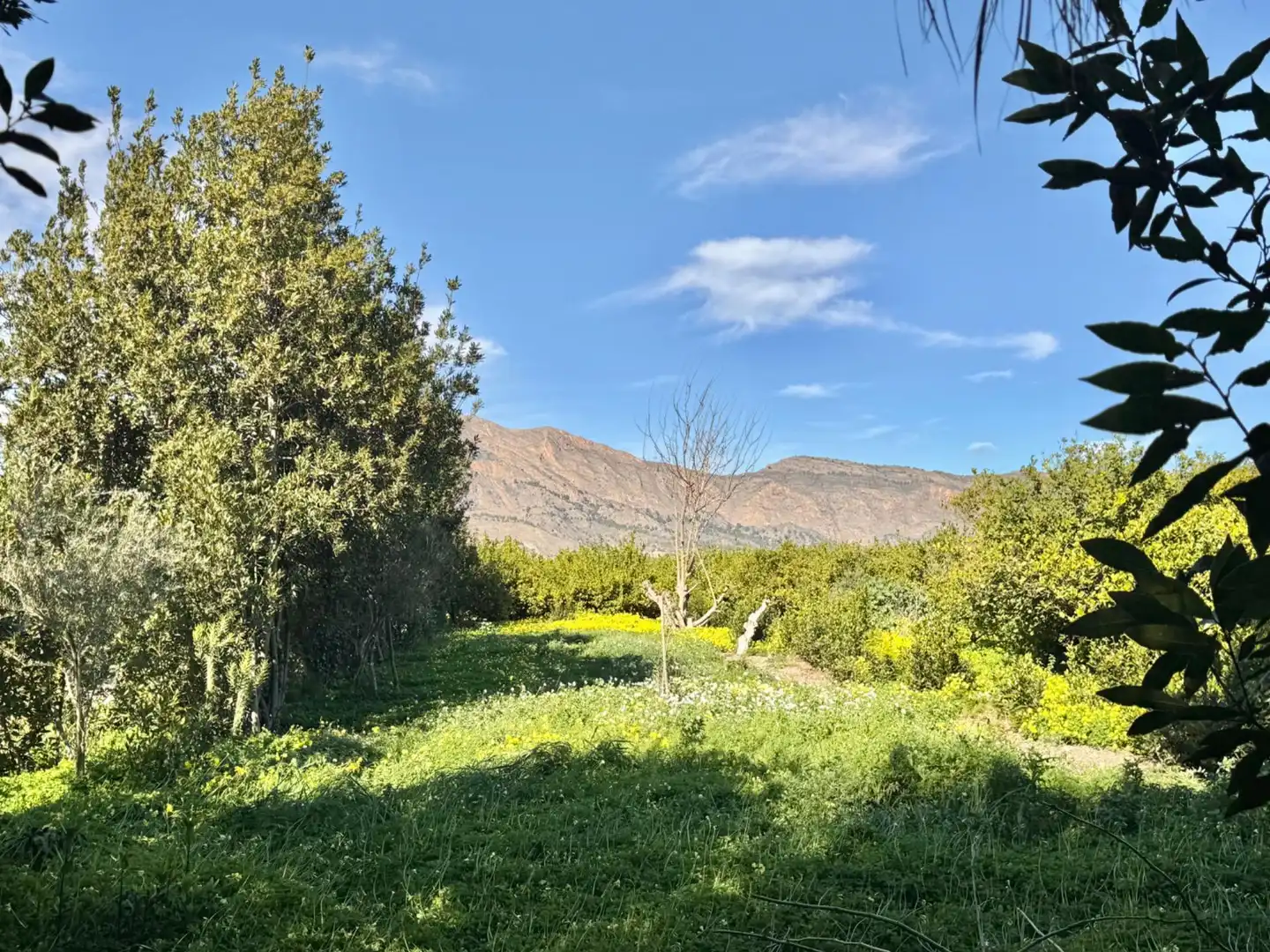 Finca rústica en venta en Orihuela con Jardín privado y Trastero