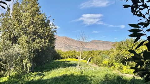 Foto 2 de Finca rústica en venta en Calle Vereda Buena Vida, 50, Desamparados - Hurchillo - Torremendo, Orihuela