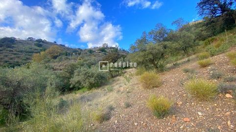 OPORTUNIDAD EN CASABERMEJA, MÁLAGA  TERRENO RÚSTICO DE 15.000 M CON VISTAS AL MAR Y A SOLO 15 MINUTOS DE MÁLAGA, imatge 5
