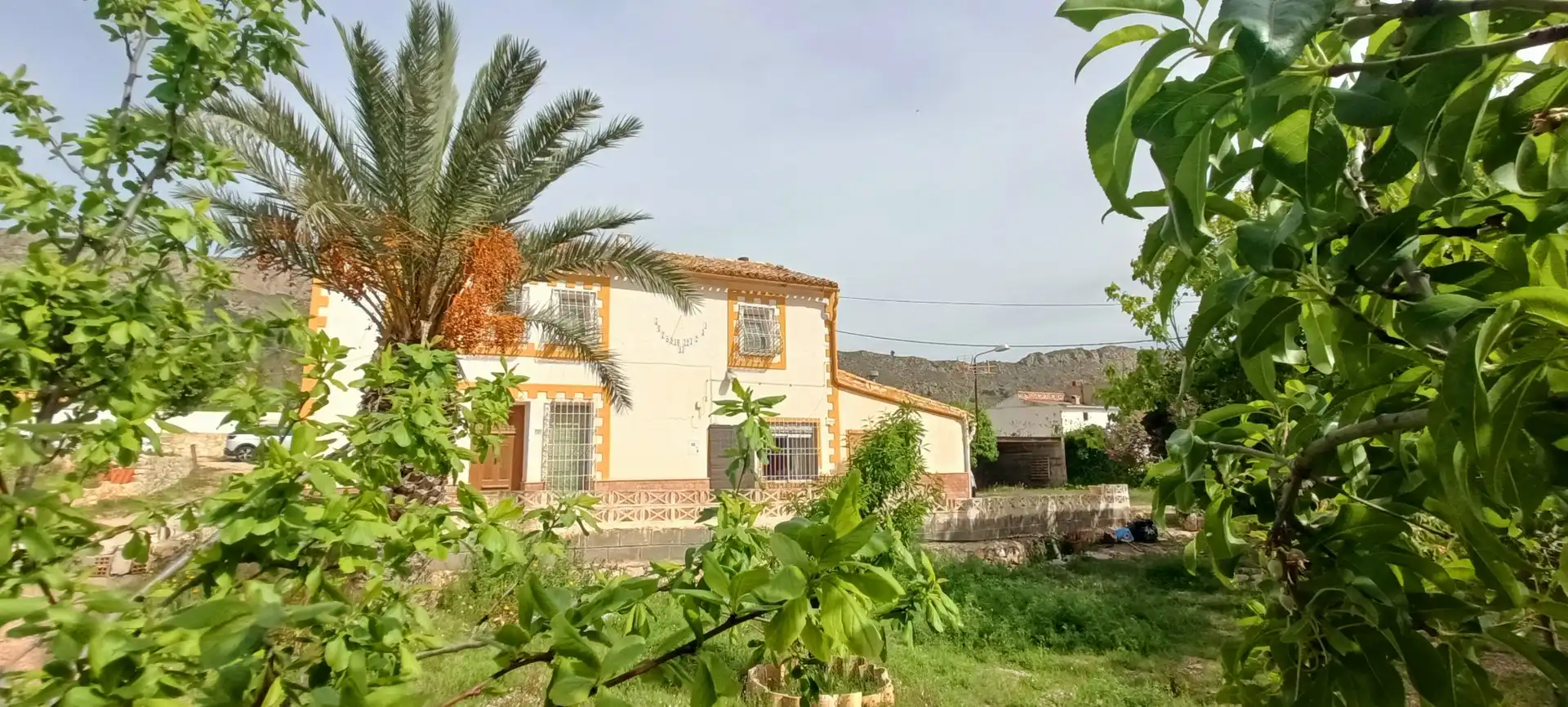Vista exterior de Casa o xalet en venda en La Romana amb Terrassa, Traster i Piscina