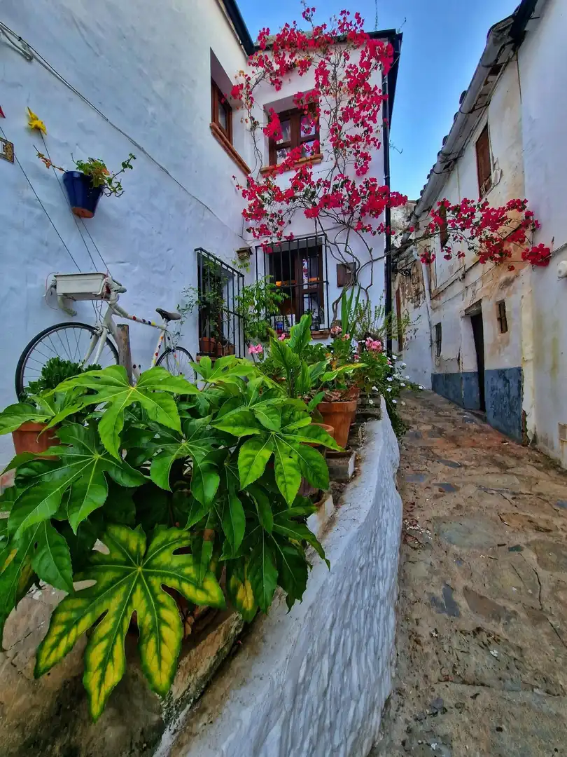 Local commercial à vendre à El Jardín - Antonio Vega, imagen 8
