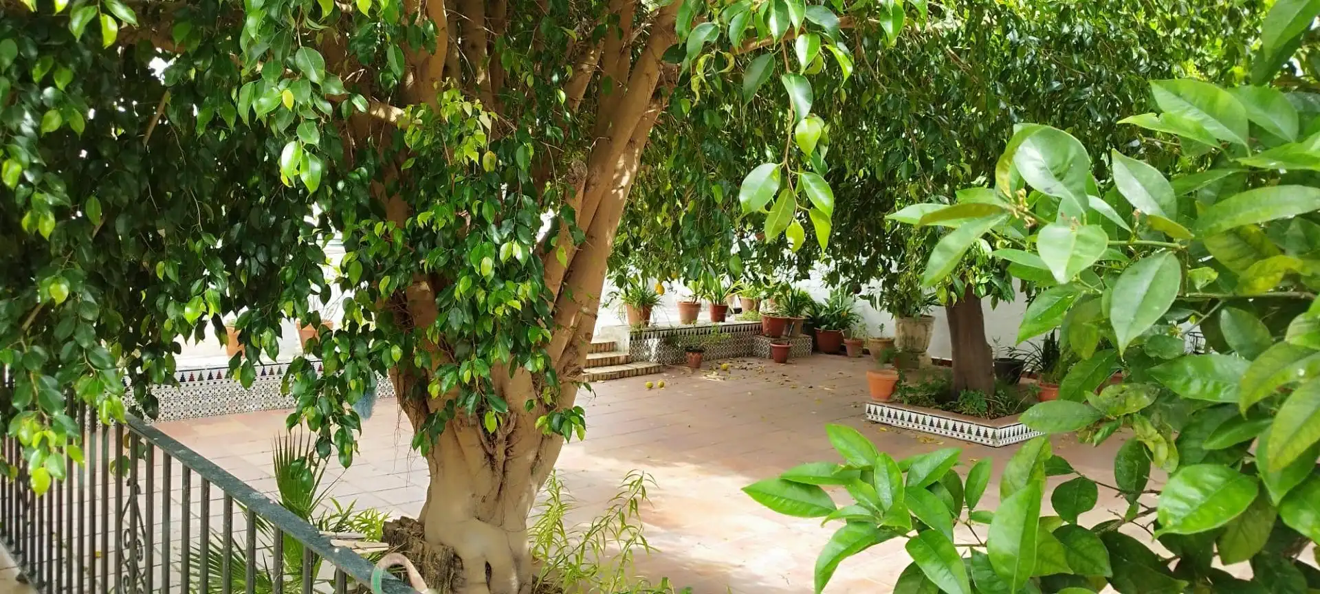 Casa o chalet en venta en Centro