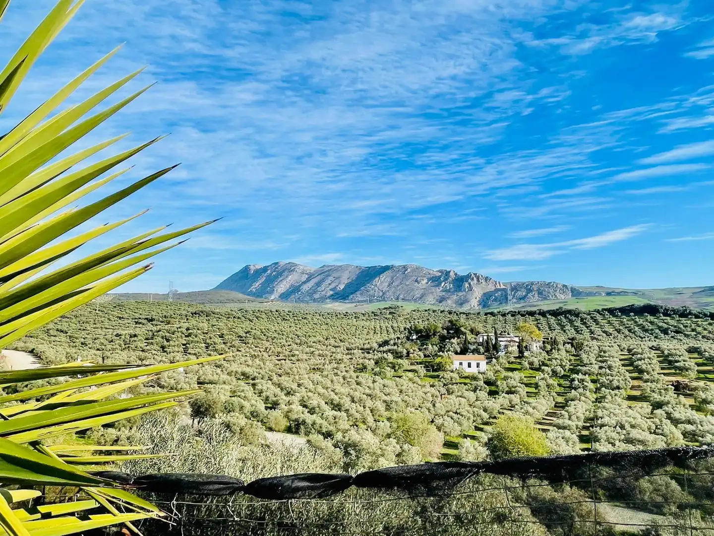 Vista exterior de Finca rústica en venta en Antequera con Jardín privado, Trastero y Piscina